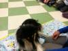 img-6828b961372746522ca8e973a1db44a3-v