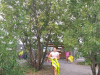 20180915_102258_resized