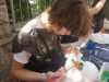 20180602_154311_resized
